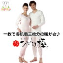 【在庫限りOFF】ひだまり 保温肌着 極 ダンロン 冬用 プレゼント 抗菌防臭素材 日本製 贈り物に最適