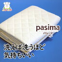 【パシーマふきんプレゼント】パシ
