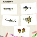 5種類のお魚たち はがき 5枚セット【気仙沼 絵はがき】ネコポス