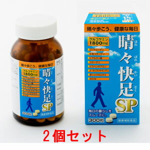 晴々快足SP(300粒)2個セット グルコサミン コンドロイチン コラーゲン メチルスルフォニルメタン ヒアルロン酸 クリプトキサンチン 赤ショウガエキス 健康食品 サプリメント 広貫堂 廣貫堂