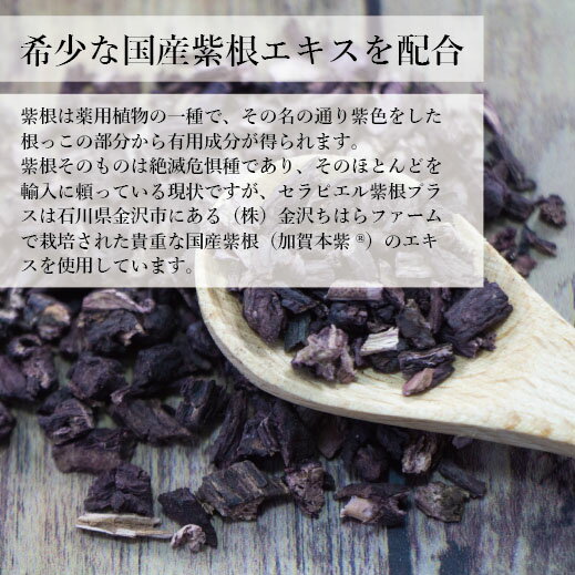 ����ԥ���纬�ץ饹��50g�� ������ ���꡼�� ����ߥ� �纬������ ������� �ҥ������� ���ʥΥ������� �ӥ��ߥ�E �顼���� �������� ��