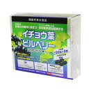 フラボンベリーα（420mg×120粒）2個セット イチョウ葉 ビルベリー ルテイン アスタキサンチン 機能性表示食品