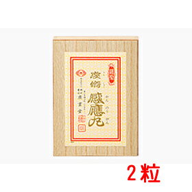 【第2類医薬品】虔脩感應丸（2粒） 強心剤 けんしゅうかんのうがん 動悸 息切れ着付け 置き薬 配置薬 常備薬 富山 廣貫堂 広貫堂 キャッシュレス 5%消費者還元