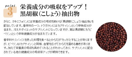タキCフォリン(21g)ケルセチンポリフェノールカラマツビタミンC黒胡椒黒こしょう健康商品マエダ薬品秀