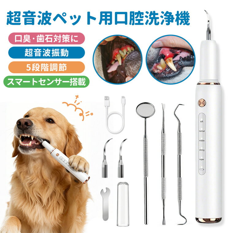 「自宅で簡単ペットの口腔ケア」ペット用歯石除去器 超音波 ペット口腔洗浄機 犬 猫 歯ブラシ 電動デンタルクリーナー 口臭対策 歯垢除去 5段階調節 LEDライト付き USB充電式 IPX6防水 300W超音波振動 ペット口腔ケア 犬対応