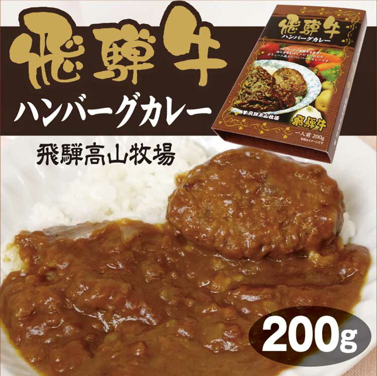 飛騨高山 お土産 飛騨牛 飛騨牛ハンバーグカレー 200g ハンバーグ カレー 飛騨高山牧場