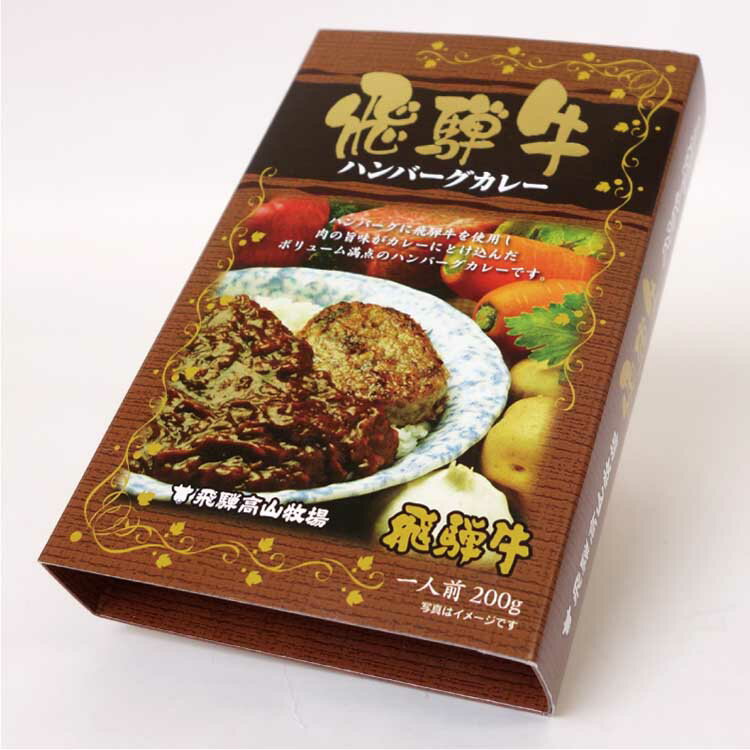 飛騨高山 お土産 飛騨牛 飛騨牛ハンバーグカレー 200g ハンバーグ カレー 飛騨高山牧場