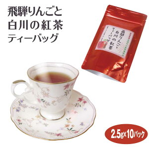 岐阜 お土産 飛騨りんごと白川の紅茶 10P 紅茶 ティーバッグ アップルティー フレーバー 岐阜 美濃 白川 白川茶園 美濃白川産茶葉使用