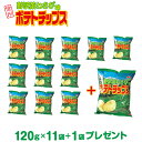 ご当地 ポテトチップス 送料無料 野沢菜わさび味ポテトチップス120g×11袋+1袋プレゼント 長野 信州 お土産 信州芽吹堂【送料無料】