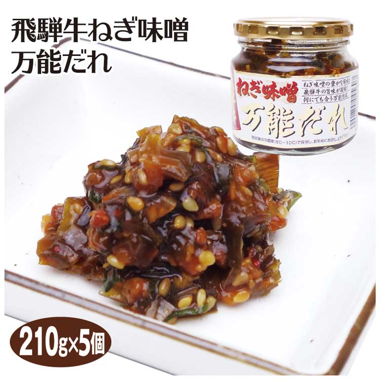 飛騨牛ねぎ味噌 210g×5個 送料無料 飛騨のソウルフード 郷土料理 ねぎ味噌天ぷら 飛騨牛ねぎ 味噌万能だれ 惣菜 おかず ご飯のおとも 飛騨高山 飛騨 岐阜 ふく福 おみやげ