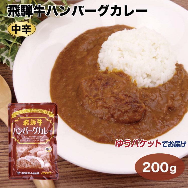 メール便 飛騨高山 飛騨牛ハンバーグカレー 中辛 200g 飛騨牛 飛騨 高山 ビーフ カレー 中辛 スパイシー お土産 おみやげ レトルト 飛騨高山牧場【ゆうパケット】