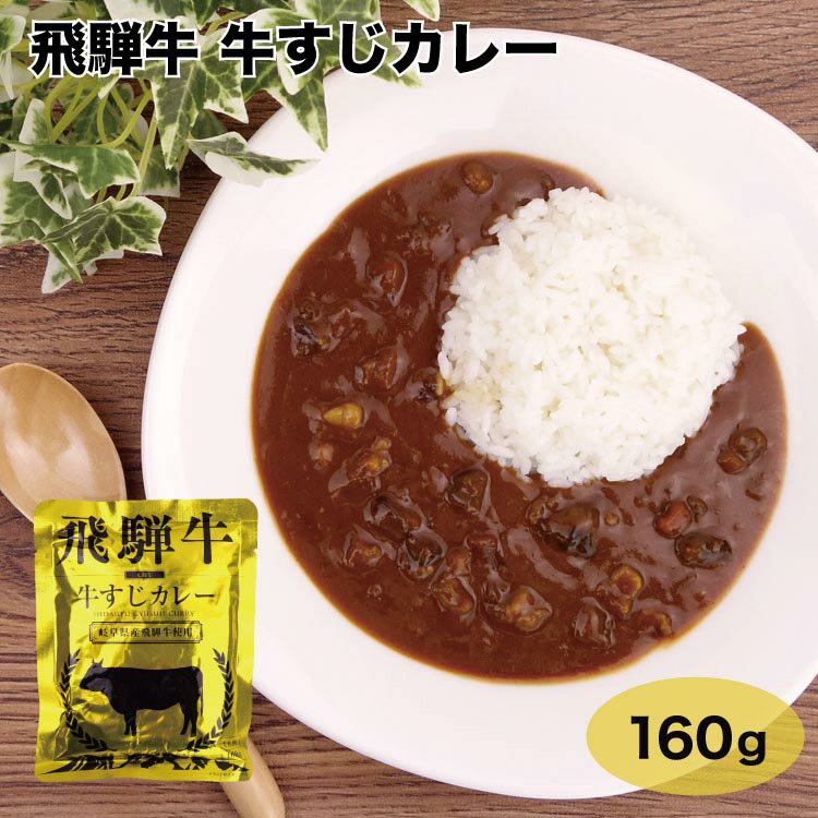 飛騨高山 飛騨牛牛すじカレー 160g 飛騨牛 飛騨 高山 お土産 おみやげ ビーフ 牛すじ カレー レトルト