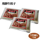 飛騨高山 お土産 飛騨牛餃子 10個入×3個 飛騨牛 A5ランク 朴葉みそ味 ブランド牛 餃子 岐阜 お土産 おかず【冷凍】