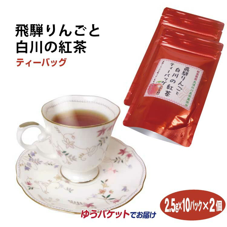 紅茶 メール便 岐阜 お土産 飛騨りんごと白川の紅茶 10P×2袋 紅茶 ティーバッグ アップルティー フレーバー 岐阜 美濃 白川 白川茶園 美濃白川産茶葉使用【ゆうパケット】