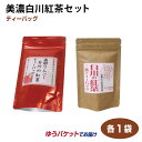 メール便 お茶 紅茶 美濃白川紅茶セット 美濃白川産 岐阜 美濃 お土産【ゆうパケット】