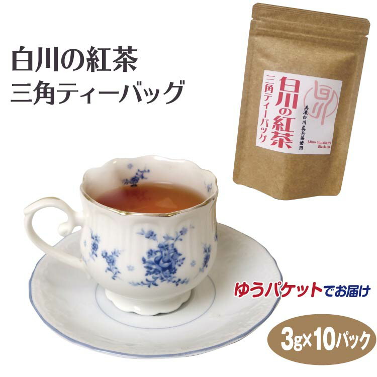 メール便 お茶 紅茶 白川の紅茶10P ティーバッグ 岐阜県 美濃 白川 ストレートティー 白川茶園【ゆうパケット】