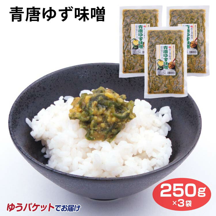 青唐ゆず味噌 250g×3袋 メール便 ご飯のおとも おかず 青唐辛子 とうがらし 柚子 ゆず ユズ みそ 味噌【ゆうパケット】