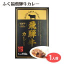 キャンプ飯 アウトドア ふく福飛騨牛カレー 190g ご当地カレー ビーフカレー レトルトカレー 飛騨牛 飛騨牛100％ お手軽 スパイシー フルーティー 岐阜 飛騨 飛騨高山牧場 ふく福 おみやげ