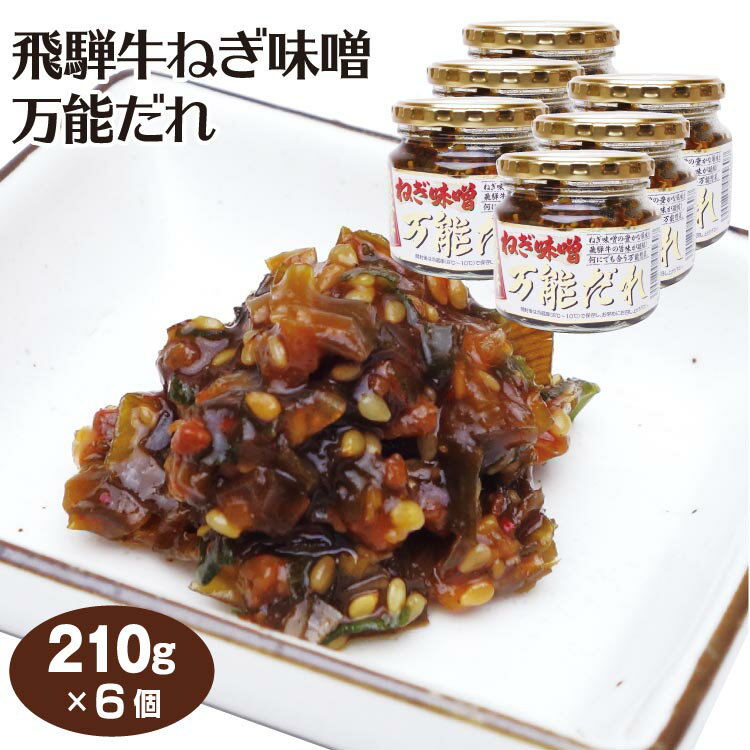 飛騨牛ねぎ味噌 210g×6個 送料無料 