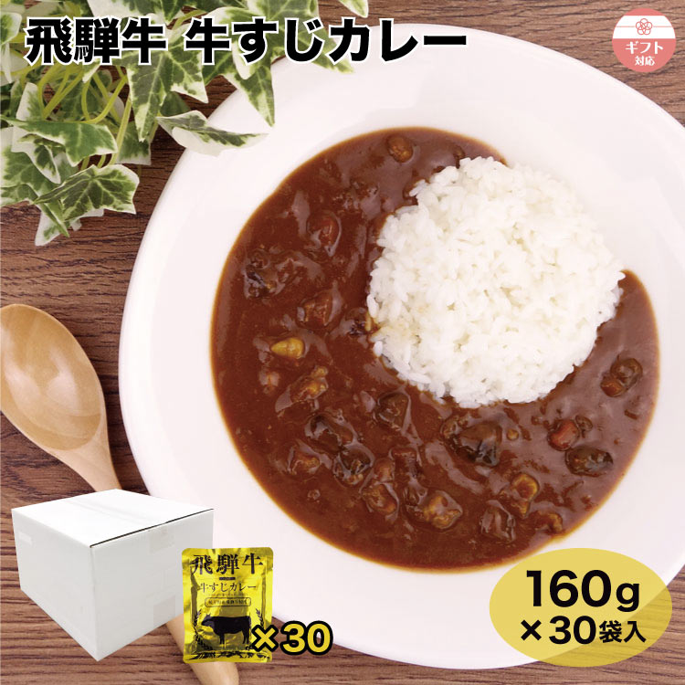 Rakuten - 【まとめ買い】飛騨高山 飛騨牛牛すじカレー 160g×30個 飛騨牛 飛騨 高山 お土産 おみやげ 惣菜 ビーフ 牛すじ カレー レトルト 箱買い ケース販売 ギフト プレゼント 贈り物