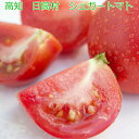 高知 日高村 1.5kg シュガートマト ビアンコ08 完熟 糖度8以上(4)