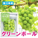 2025 お中元 人気 土居さんのグリーンボール シャインマスカット ぶどう さぬき讃フルーツ 1房( 700g )お中元 各種 ギフト 対応いたします 送料無料 香川 7月18日~8/31頃出荷 チルド便