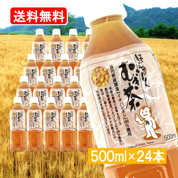 送料無料 ほんまもんむぎ茶　500ml×24本　ベビー 赤ちゃん 子供から大人まで　ペットボトル　おすすめ 香川県産 イチバンボシ100%国産 大麦 裸麦 裸麦 麦茶 ほんまもん麦茶 お中元 ギフト 対応いたしますのサムネイル