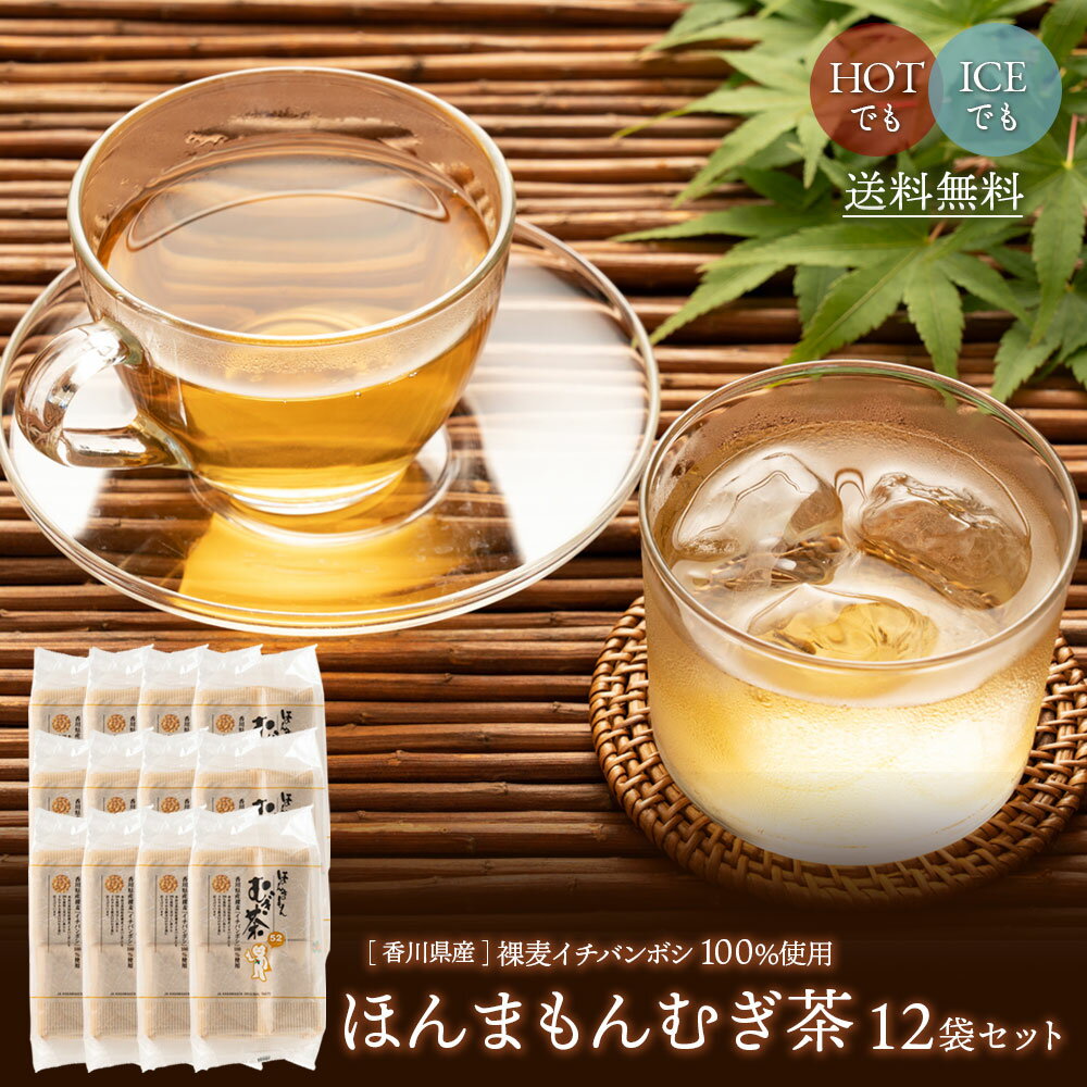 麦茶 624 パック ほんまもんむぎ茶 10g×52袋 12個セット / 送料無料 麦茶 パック 香川県産 イチバンボシ100% 国産 麦茶 ほんまもん麦茶 赤ちゃん ベビー 子供 煮出し 水出し 麦茶 麦茶パック