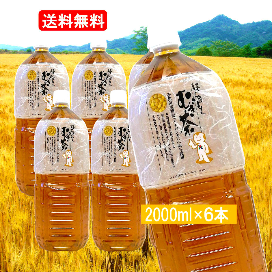 送料無料 ほんまもんむぎ茶　2000ml×6本　ベビー 赤ちゃん 子供から大人まで　おすすめ 香川県産イチバンボシ100%　国産麦茶 大麦 裸麦 麦茶 ほんまもん麦茶　ペットボトル お中元 ギフト 対応いたしますのサムネイル