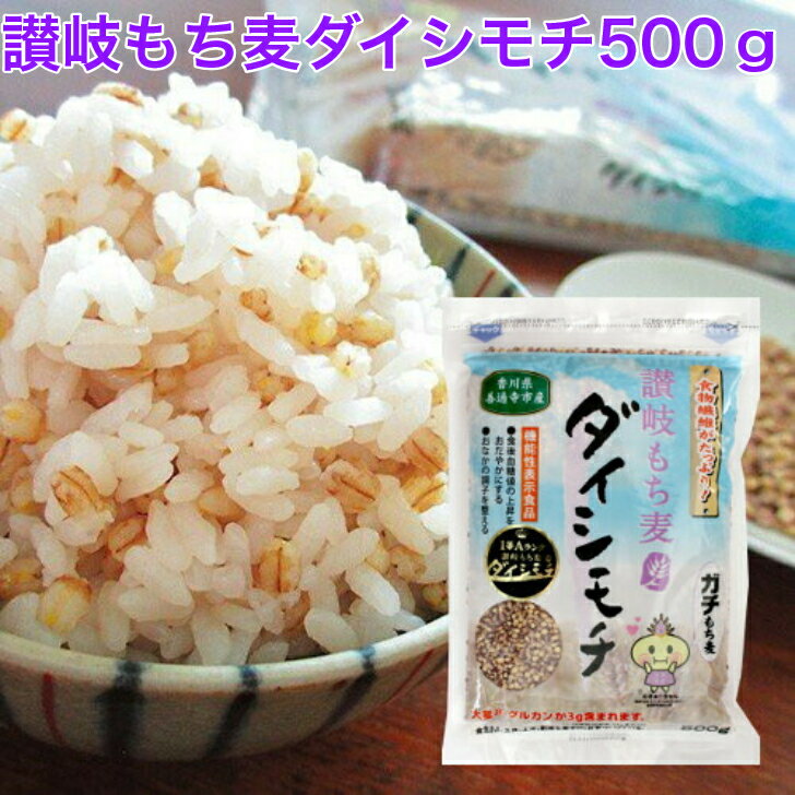 讃岐もち麦 ダイシモチ 500g 1袋