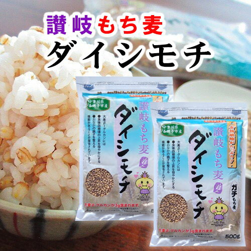 ダイシモチ もち麦 国産 1000g 讃岐もち麦 ダイシもち 発酵性性食物繊維 機能性表示食品 国産 ...
