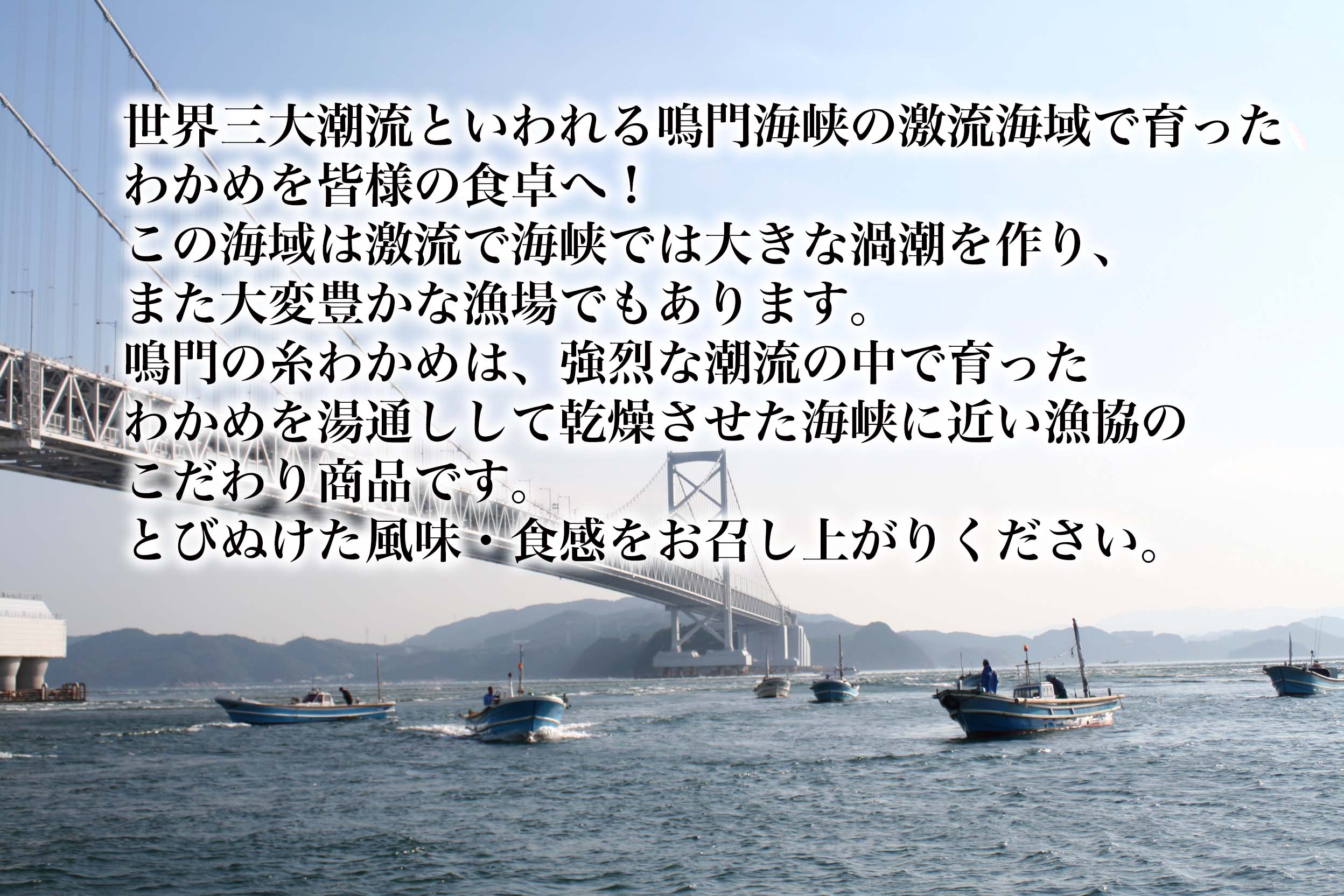 訳あり 1箱限り 鳴門わかめ 糸わかめ（乾燥）120g　化粧箱入り