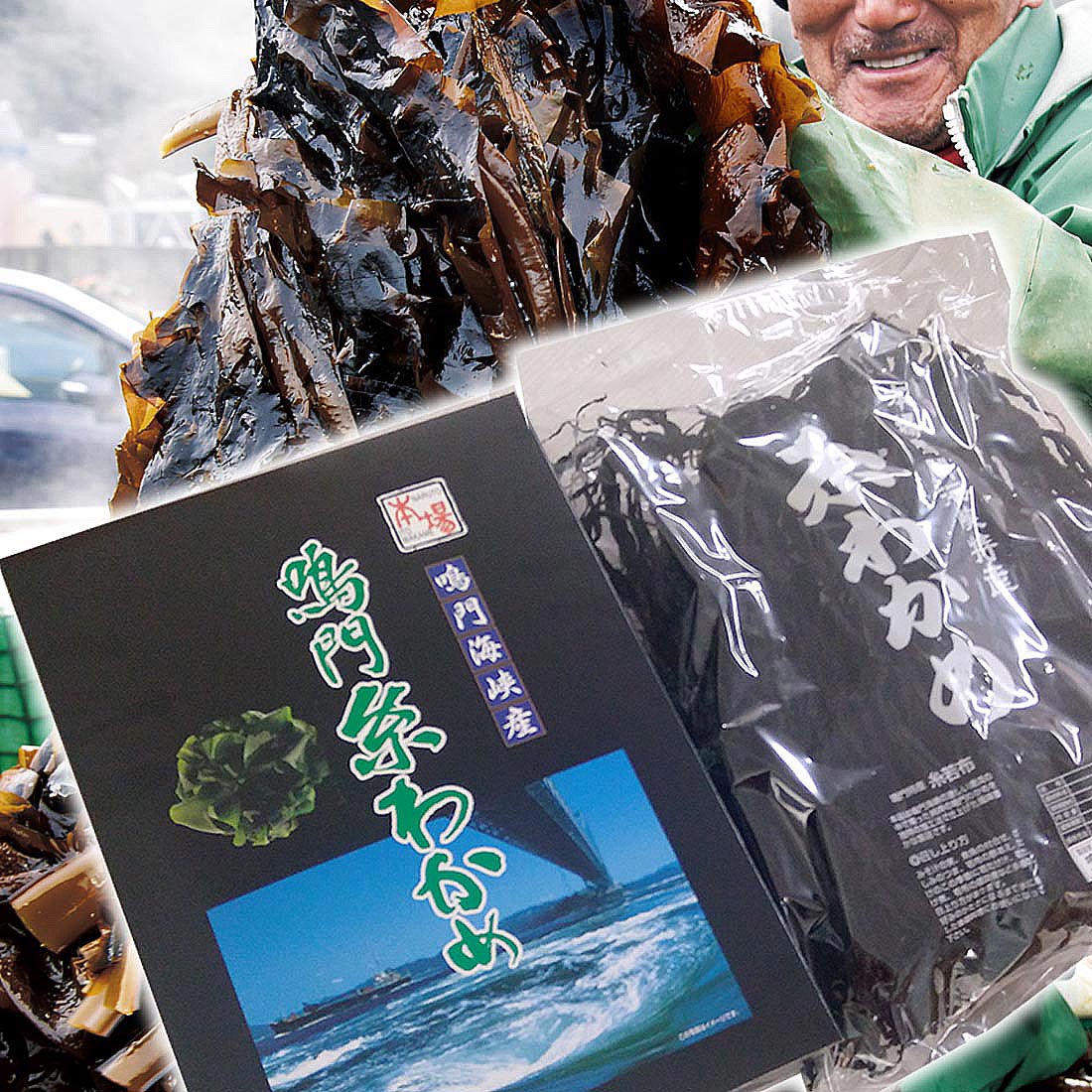 訳あり 1箱限り 鳴門わかめ 糸わかめ（乾燥）120g　化粧箱入り