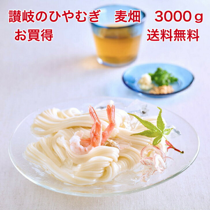 送料無料 サービス品 ひやむぎ麦畑3