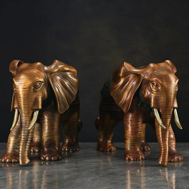 Ƽ ڴ  Ĺɡ  Ƽ  ׬      乔  £ ° ֥  Ⱦ ʪ ꥹޥ...