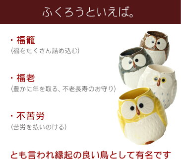 プレゼント 母 誕生日 70代 名入れ 【 ふくろう 湯呑み & ハンカチ セット 】 湯のみ ゆのみ 60代 80代 90代 フクロウ 祖母 祖父 父 おばあちゃん 還暦祝い 古希祝い 還暦 古希 喜寿 傘寿 米寿 卒寿 長寿 祝い お祝い 名前入り 名入り 贈り物 ギフト 敬老の日