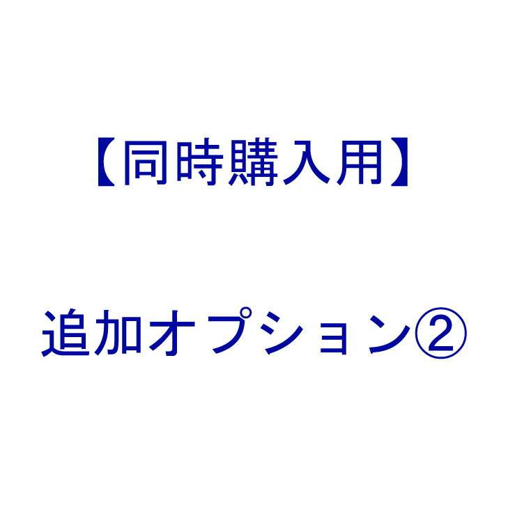 【 同時購入用 ： 追加 オプション 】オプション2【 本体は別売です 】