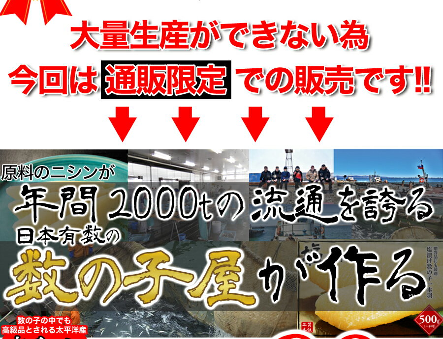 松前漬け 送料無料 数の子 60％ 業務用 贅沢松前漬け1kg gift 名産品送料無料※但し、沖縄　一部離島には送料無料でお届けできません