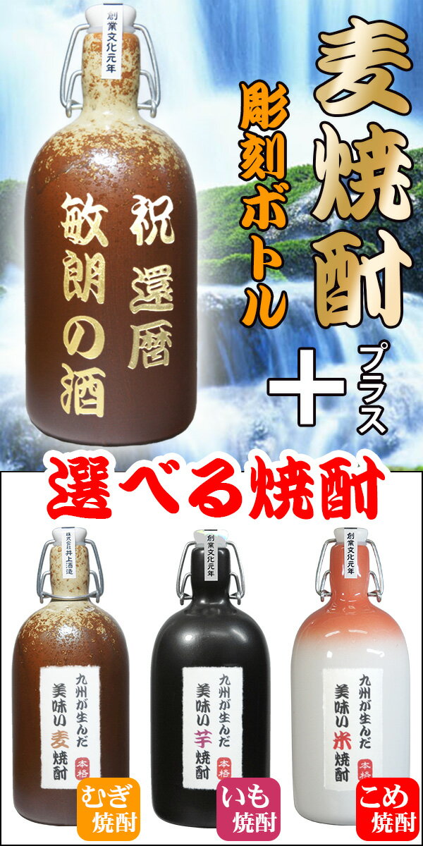 名入れ 焼酎 麦焼酎 飲み比べ セット 芋焼酎 米焼酎 選べる焼酎 彫刻 ボトル 名前入り オリジナル おしゃれ 結婚祝い 結婚記念日 退職祝い 還暦祝い 古希 喜寿 祝い 定年 誕生日 プレゼント 昇進 記念品 両親 上司 新築祝い 父の日 母の日 ギフト 贈り物 陶器 2本セット