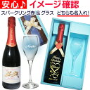 名入れ スパークリングワイン 赤 & 名入れ ヴィンテージ シャンパングラス セット 名前入り スプマンテ と 名前入り ワイングラス 彫刻ボトル 誕生日 プレゼント 女性 彼女 還暦 古希 喜寿 祝い 退職 送別 御祝 ワインギフト 天使のロッソ 甘口