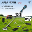 草刈り機 充電式 コードレス 電動 ブラシレスモーター搭載 9インチ 肩掛け付き 替刃付き 高枝 充電式草刈機 電動草刈り機 刈払機 伸縮 刈払機 電動 除草 軽量 充電 安全 無線 替刃角度調整 庭 園芸 雑草 芝生 農園 畑