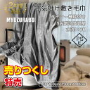 【正規品】2024 最新 電気毛布 掛け敷き兼用 日本製ヒーター内蔵 洗える 速暖 9段階温度調整 タイマー 過熱保護 電気ブランケット 省エネ ダニ退治 ふわふわ PSE認証 敷きフランネル 丸洗い 均一加熱 冷え対策 電気ひざ掛け PSE認証済み