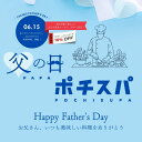 SS【父の日〜いつも美味しいお料理をありがとう〜】ポチスパ / 包丁研ぎ1本 ふくべ鍛冶 ポチスパ 包丁研ぎ 職人 業者 プロ ポチスパ 包丁研ぎ 包丁とぎ サ...