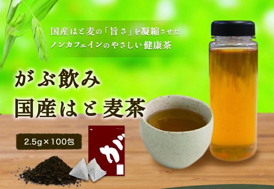 9月12日～22日発送分 はと麦茶ミニパック100包 国産はと麦茶100% ハト麦茶 マイボトル専用ふくちゃのがぶ飲みはとむぎ茶ティーバッグ2.5g×100包 ハト麦健康茶（美容茶、お茶）鳩麦茶 送料無料のハトムギ茶 ノンカフェイン お茶 250項目農薬・放射能検査済み