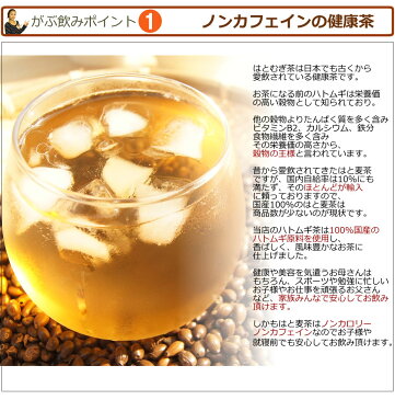 お試し【はと麦茶|ハトムギ茶】国産はと麦茶100%|ふくちゃのがぶ飲みはとむぎ茶ティーバッグ20包|ハト麦健康茶（美容茶）♪煮出し鳩麦茶|ノンカフェイン|お茶|送料無料【250項目農薬・放射能検査済み】