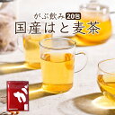 【注文から6〜14日内に発送】 お試し はと麦茶 ハトムギ茶 国産はと麦茶100% ふくちゃのがぶ飲みはとむぎ茶ティーバ…