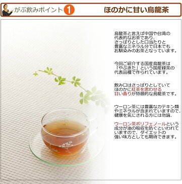 メガ盛り国産烏龍茶福袋（国産ウーロン茶）|ふくちゃのがぶ飲み国産烏龍茶|ティーパック45包|送料無料