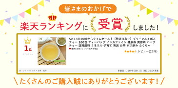 【発送日有り】グリーンルイボスティー 100包 ティーバッグ ノンカフェインで緑茶好きにもおススメの健康茶 美容茶 ハーブティー 送料無料 ミネラル 子育て 育児 お茶 がぶ飲み ふくちゃ