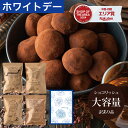 訳ありショコリッシュ