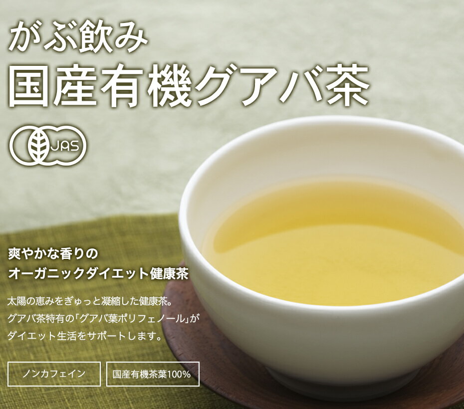 ふくちゃのがぶ飲み国産グアバ茶ティーバッグ3g×50包│沖縄産のグァバ茶はノンカフェインのダイエット健康茶です。送料無料でお届け！ばんしろう茶（蕃石榴茶）やバンシロウ、ガバ茶、シジューム茶、シジュウム茶ともいいます。　在宅